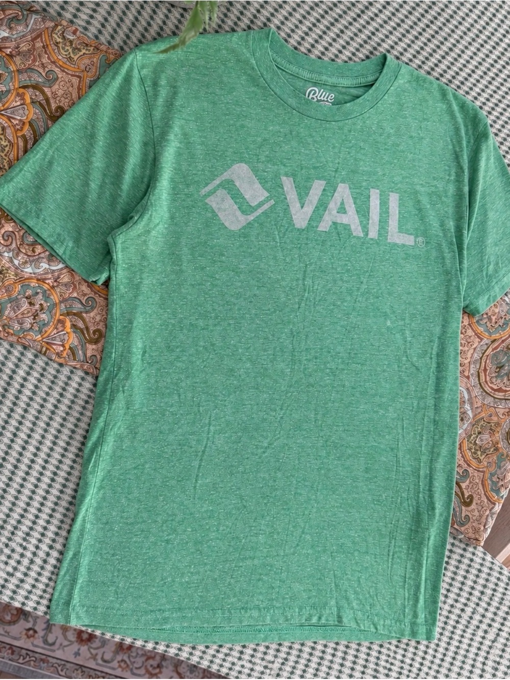 Vail Ski Resort Men’s Graphic T-Shirt Green Heather by Blue 84